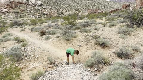 VIVA LAS VEGAS! Exploring Red Rock Canyon for an AMAZING ACCIDENTAL HIKE! Calico Basin & BEYOND!