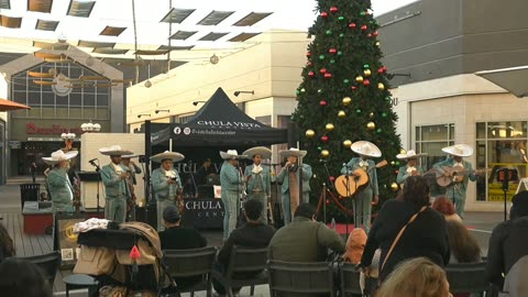 JDATA17 - LiveStream - 2025 - JDATA