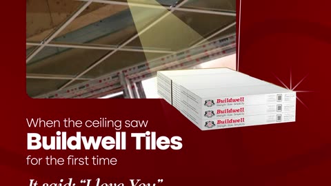 The Perfect Match for Your Ceiling Has Finally Arrived