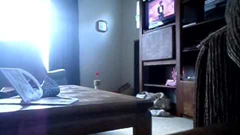 Watching Michael Jackson videos! Don't Stop Til You get Enough, will I'll do!!