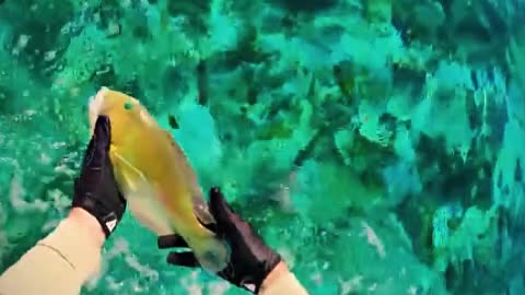 Fishing in the Middle of the Ocean – Biggest Catch Ever!