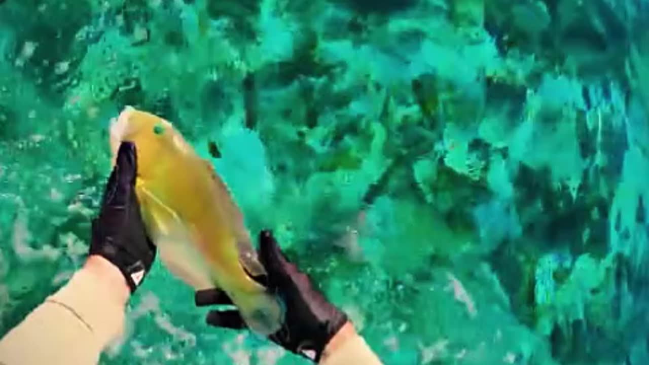 Fishing in the Middle of the Ocean – Biggest Catch Ever!