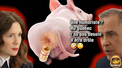 STRÉLISKY HUMORISTE ? 🙄🧐🥴