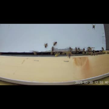 Midday Hustle and Bustle