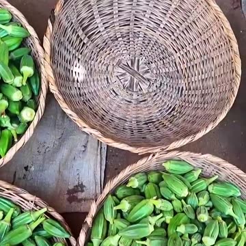 Fresh organic food market Togo