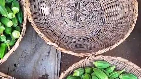 Fresh organic food market Togo