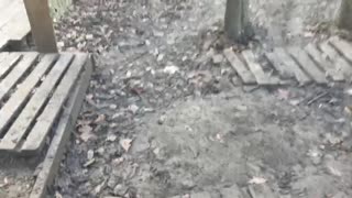 Korean brothers 🇰🇵