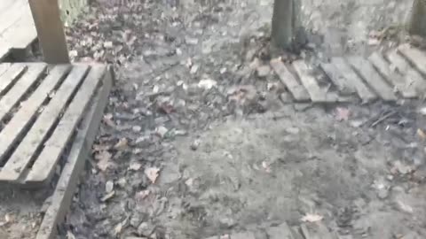 Korean brothers 🇰🇵