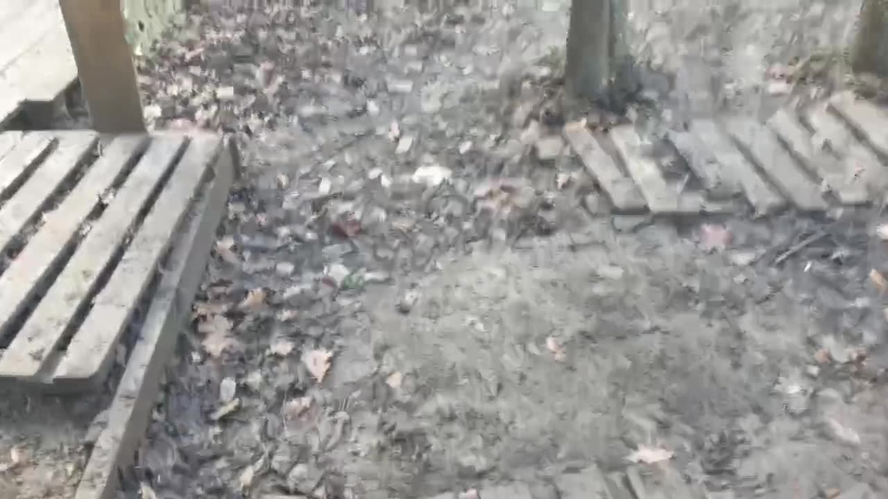 Korean brothers 🇰🇵