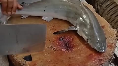 The Most Baby Shark Fish Cutting Skills#shorts