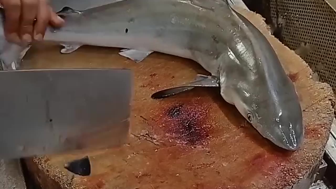 The Most Baby Shark Fish Cutting Skills#shorts