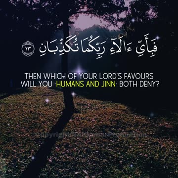 Surah Ar-Rahman (8–16) | Harmony & Divine Order | Graceful Quran Recitation