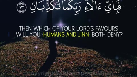 Surah Ar-Rahman (8–16) | Harmony & Divine Order | Graceful Quran Recitation
