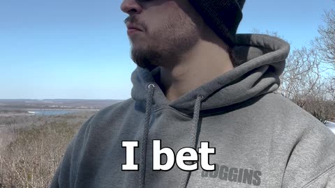 The Beetle