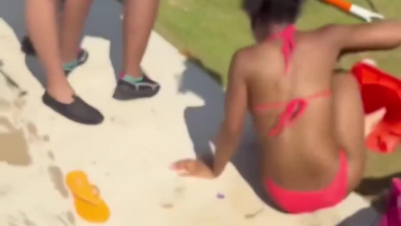 Diversity at the beach