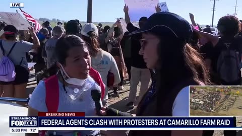 BREAKING : Ventura County Marijuana Farm Raided By ICE; Protesters Blocking ICE