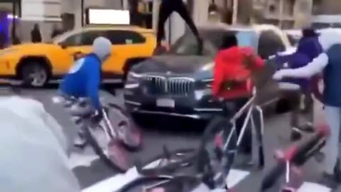 70 IQ Baboon Savages Wreck Random Car