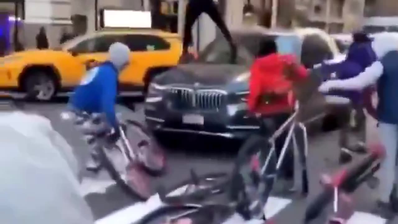 70 IQ Baboon Savages Wreck Random Car