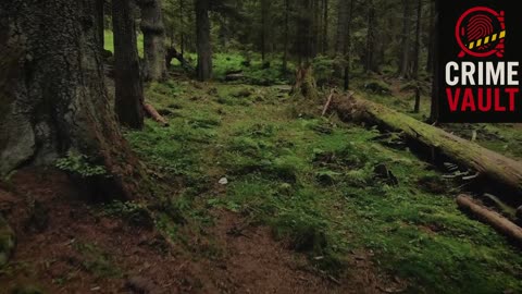 He Trespassed Into an Uncontacted Tribe’s Land… And Their Reaction Was Immediate
