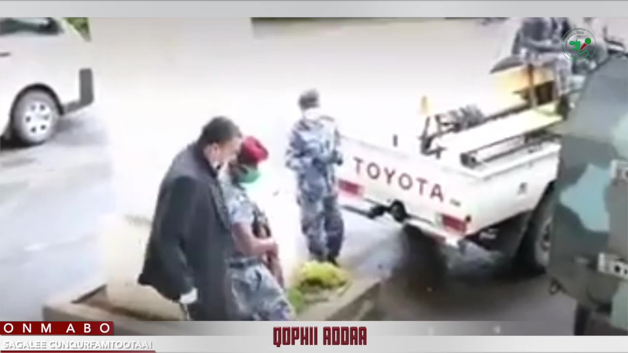 Qophii Addaa ONM-ABO Bitootessa 29-2025 itti dhiyaadhaa!