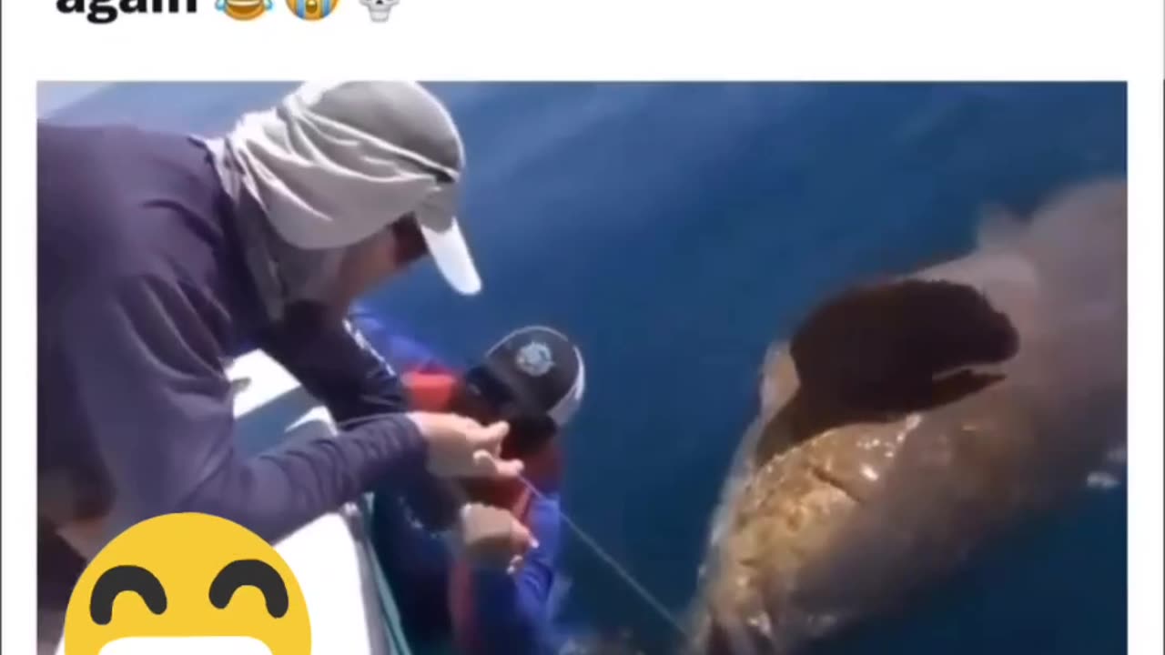 😂✨ Side-Splitting Comedy | Hilarious Videos to Brighten Your Day
