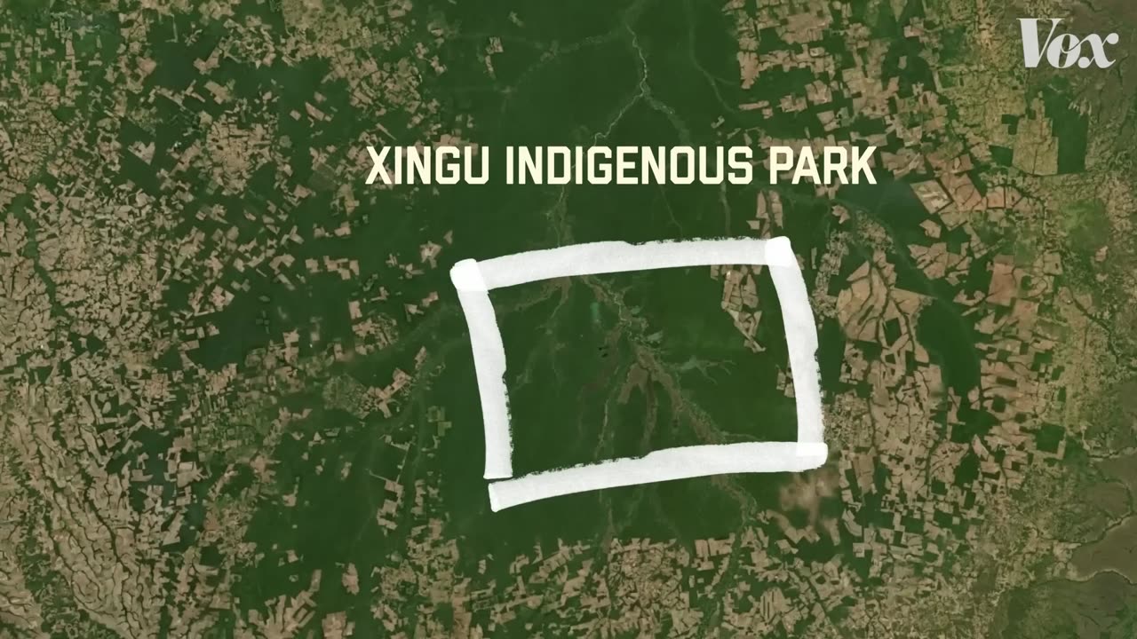How the “lost cities” of the Amazon were finally found