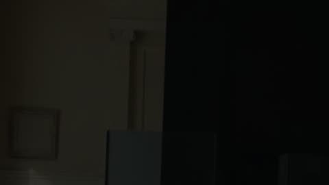 Tweedledumb and Tweedledumber