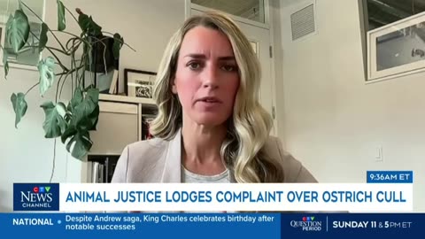 Animal Justice: CFIA Ostrich Cull Violated Criminal Code & Was ‘Not Humane