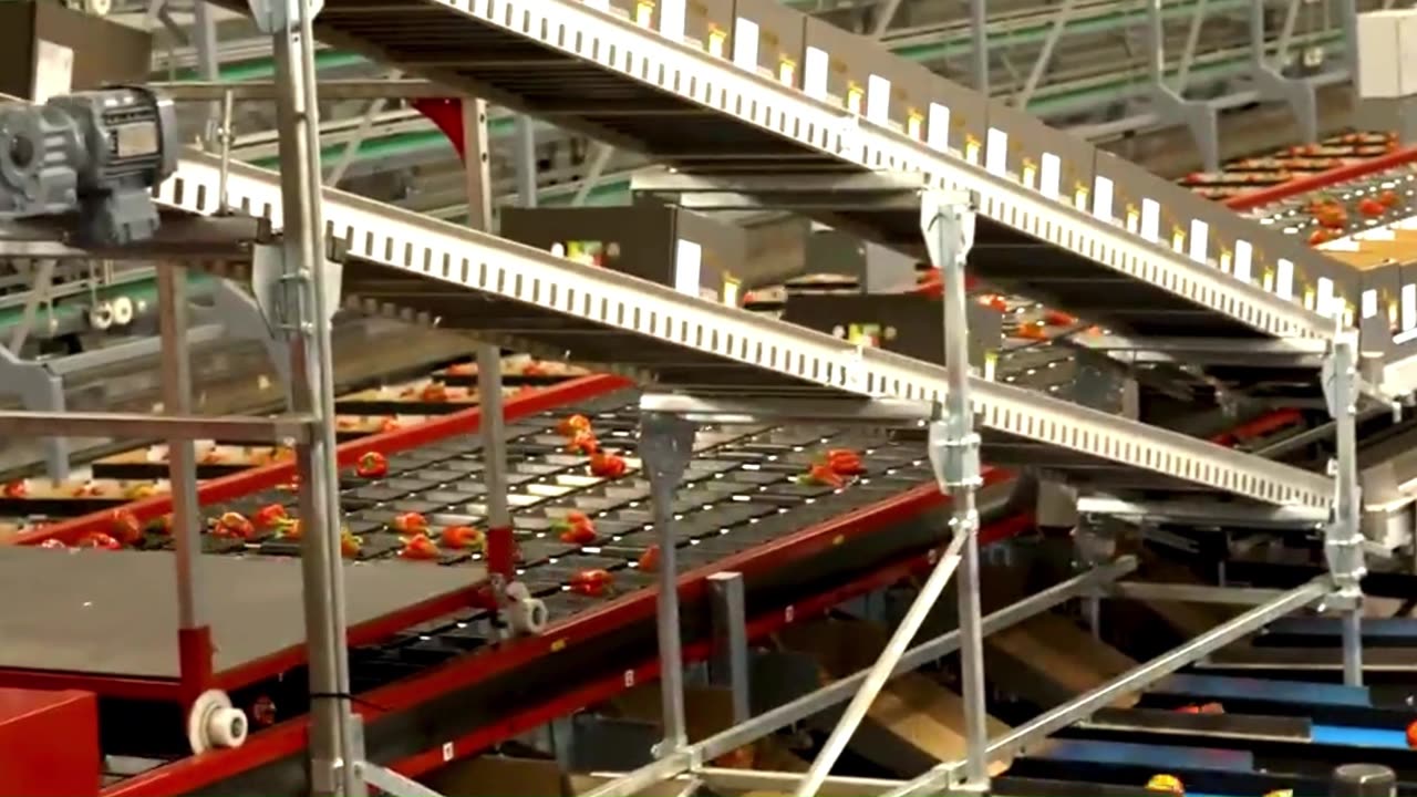 How A Tiny Nation Feeds Giants?