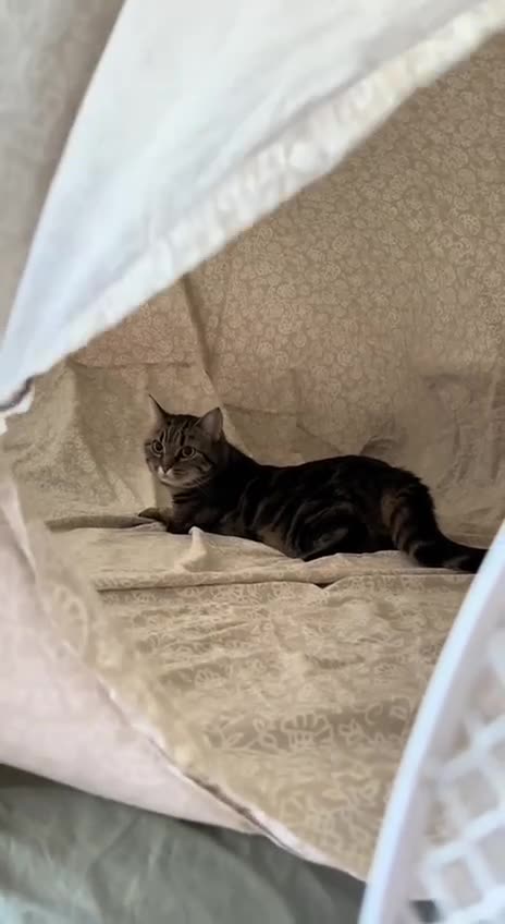 Dealing with the extreme heat