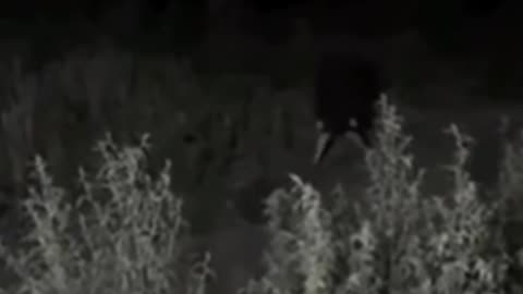 😨👺 You Won't Believe This Woman's Possession! | TheHauntingHour