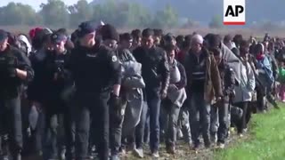 The United Nations' Kalergi Plan