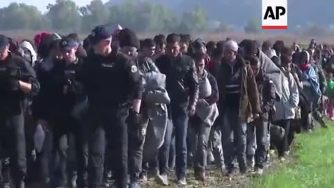 The United Nations' Kalergi Plan