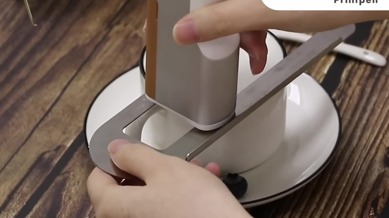 EVEBOT Food Printer Print Logos on Food Easily!