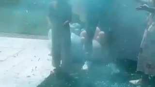 Dustin Poirier's Gender Reveal Party for His Second Child