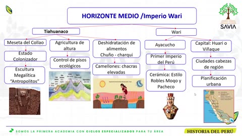 SAVIA REGULAR 2025 | Semana 02 | HP