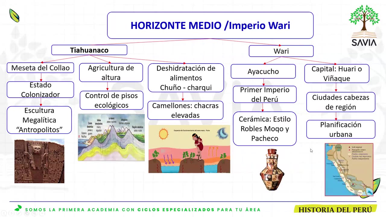 SAVIA REGULAR 2025 | Semana 02 | HP