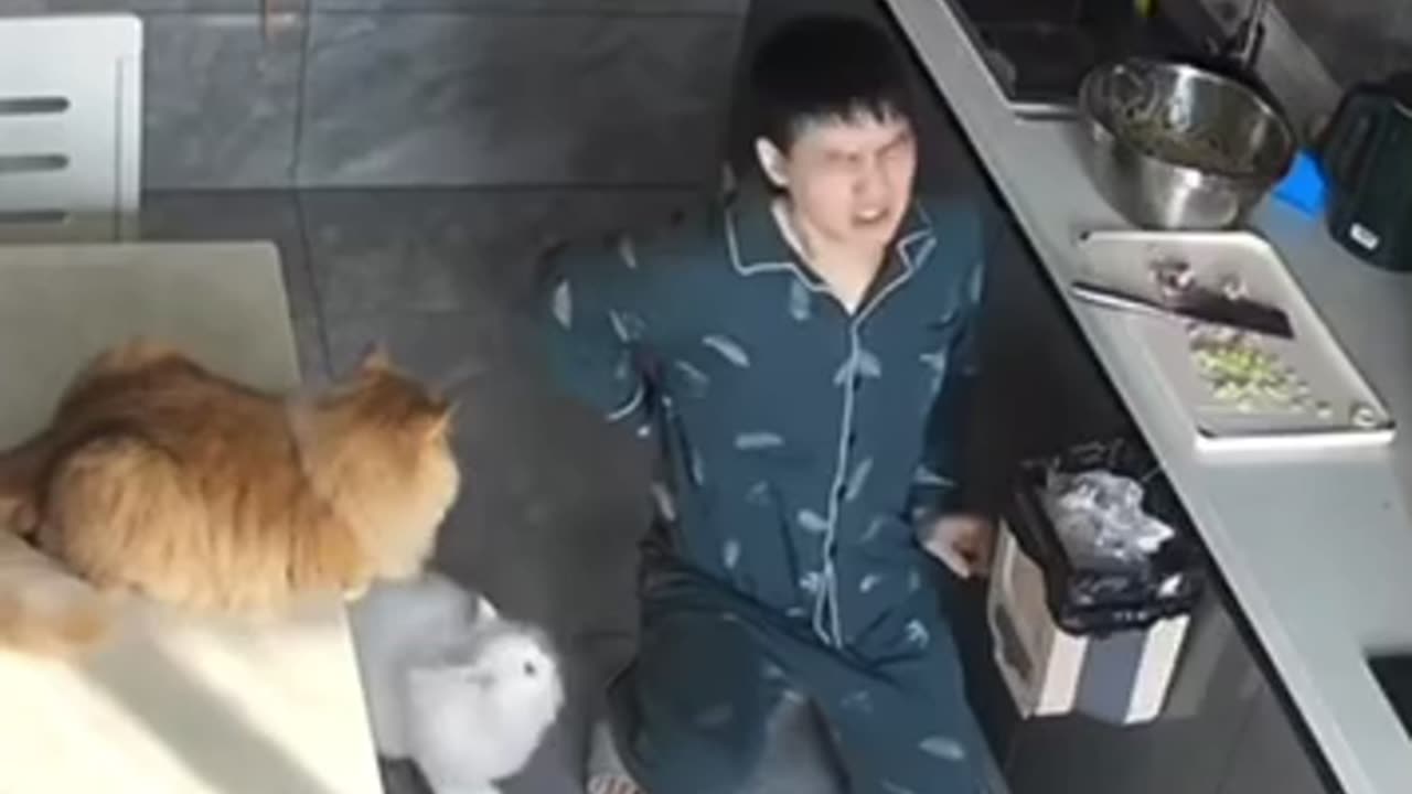 Don't let the cat be on your back.😂😂