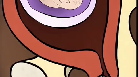 What Happens During Pregnancy Termination Surgery A Medical Overview