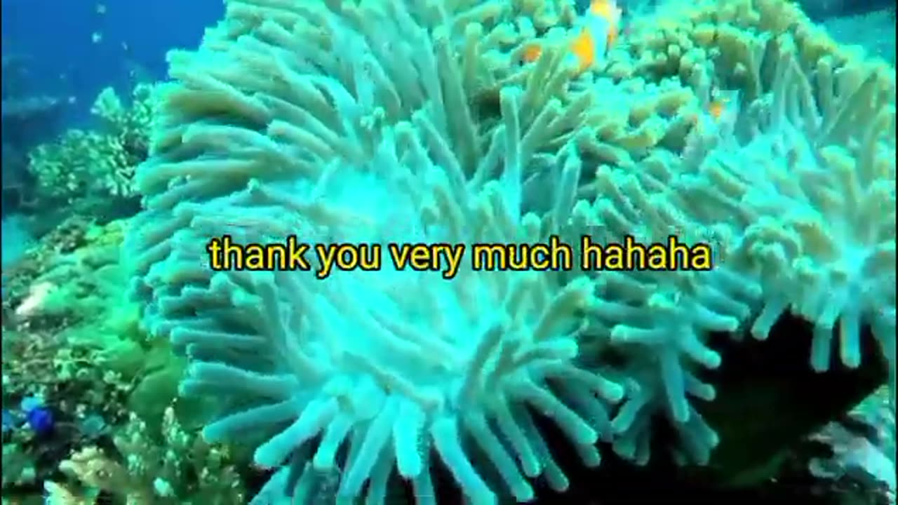 George Carlin Faith Means Dont Ask Questions Just Pay