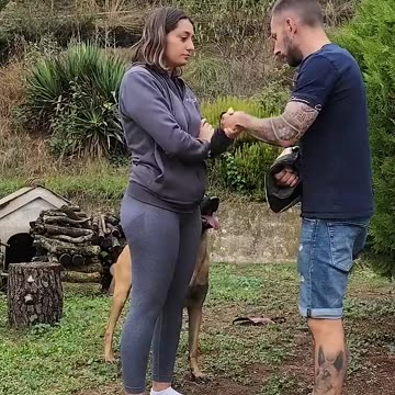 Fuy atraparla pero el me atrapó a mí! #dog #k9 #dogtraining #doglover #parati #k9units #viral