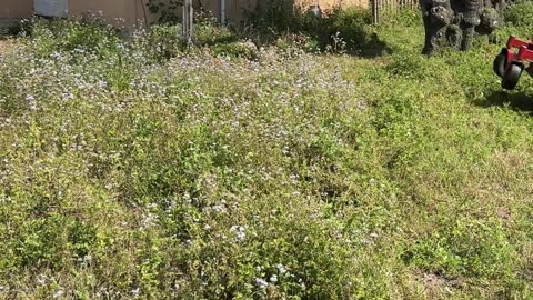 This Abandoned Home Became an H.O.A. Nightmare—No One Knows Who Owns It P6