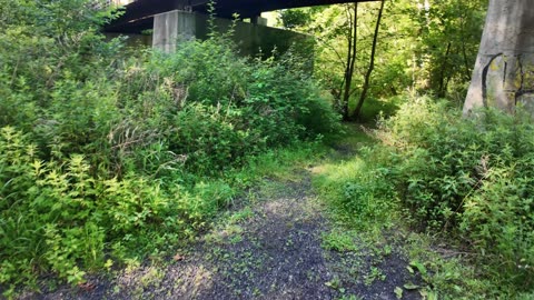 Under a bridge in small town America 🇺🇸: Do you visit these types of places ?
