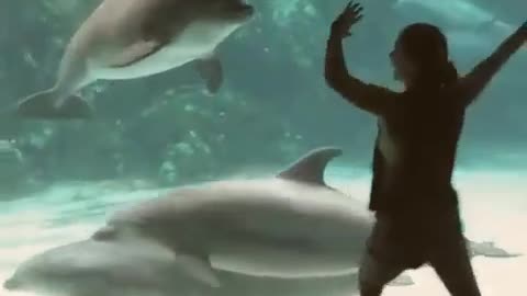 Whales Dance