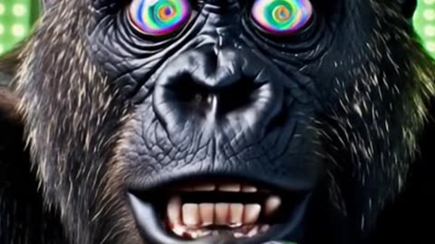 POV Hypno Gorilla Enters Your Wallet Brain Rot Meme 2025🧠🦍💸 4K Me