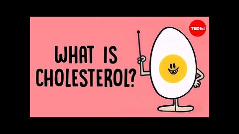 What actually causes high cholesterol?