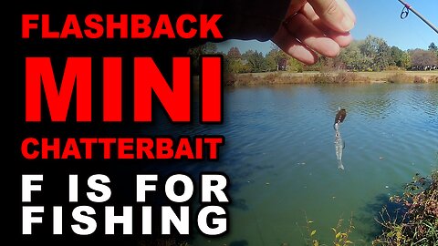 Flashback Mini Chatterbait