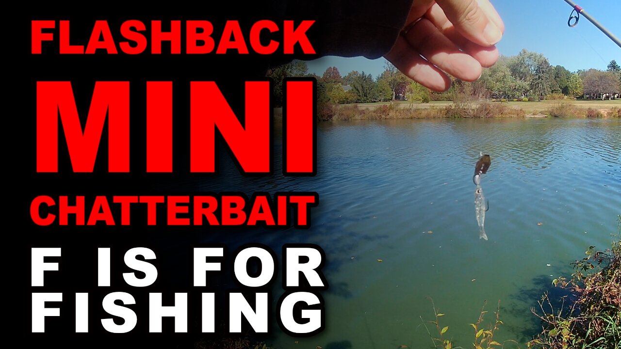 Flashback Mini Chatterbait