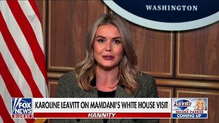 Karoline Leavitt: ICE Operations Will Continue In NYC