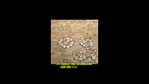 How do Cave Pearls form?